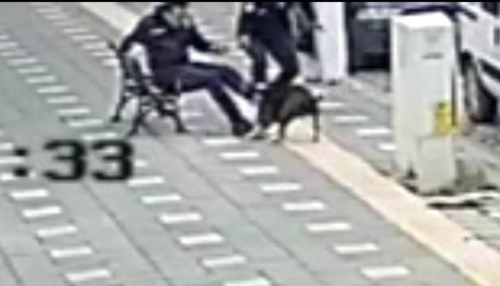 Manisa'da iki polis pitbull saldırısına uğradı