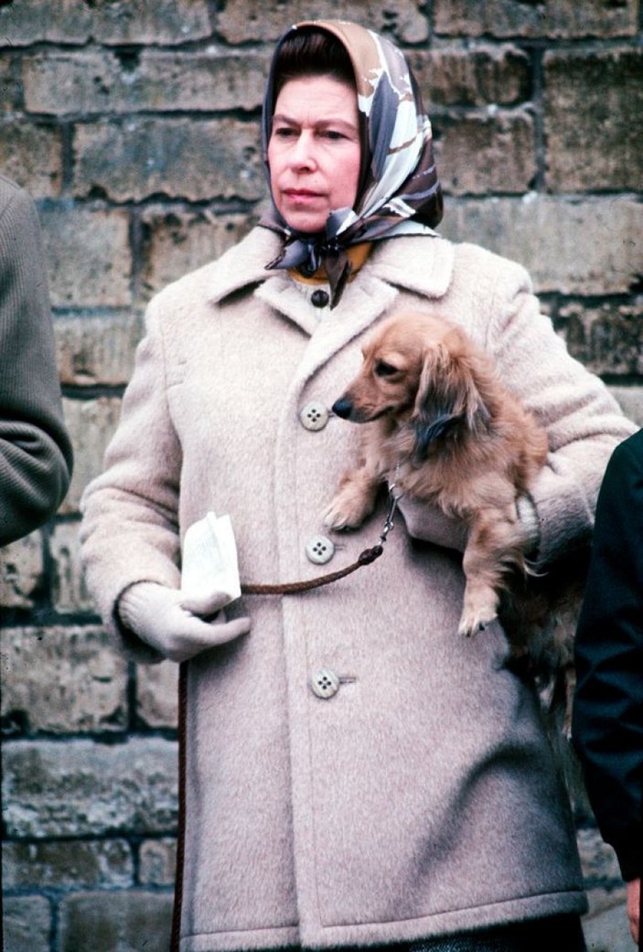 Kraliçe Elizabeth, köpeğine savaşta ölen amcası Fergus'un adını verdi