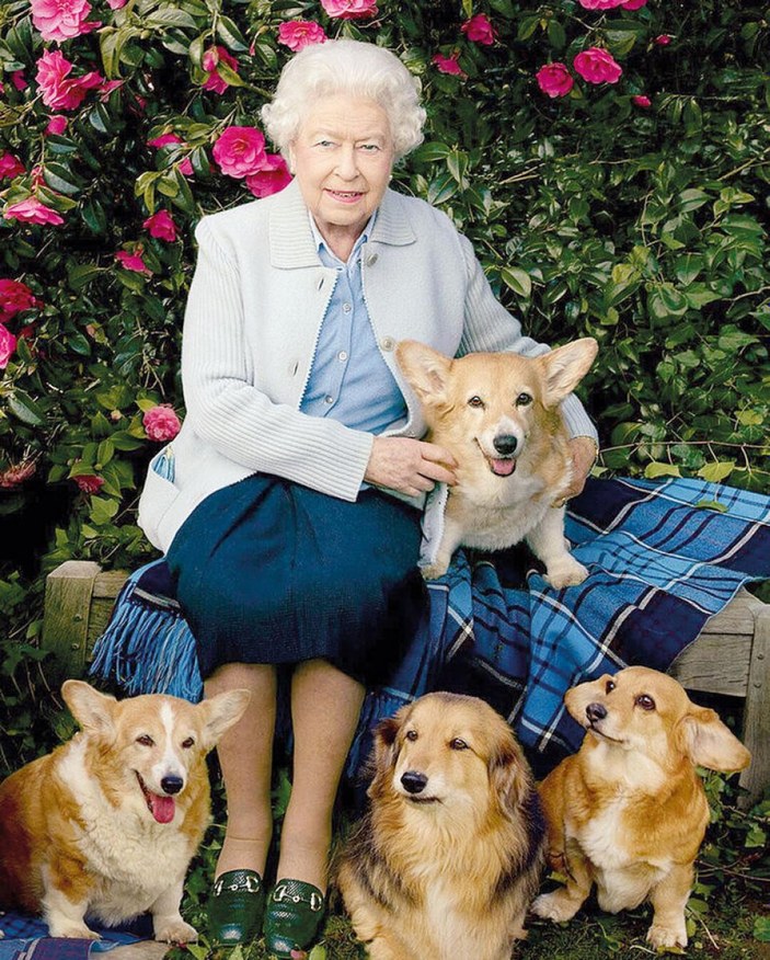 Kraliçe Elizabeth, köpeğine savaşta ölen amcası Fergus'un adını verdi