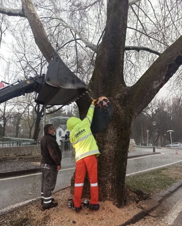 Bekir Pakdemirli’den TBMM bahçesine düşen yıldırıma ilişkin açıklama