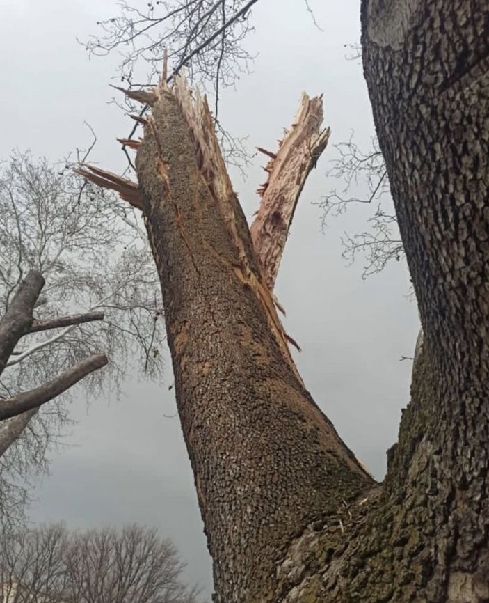 Bekir Pakdemirli’den TBMM bahçesine düşen yıldırıma ilişkin açıklama