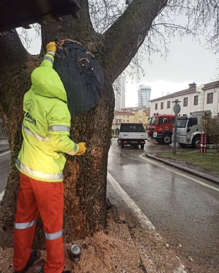Bekir Pakdemirli’den TBMM bahçesine düşen yıldırıma ilişkin açıklama