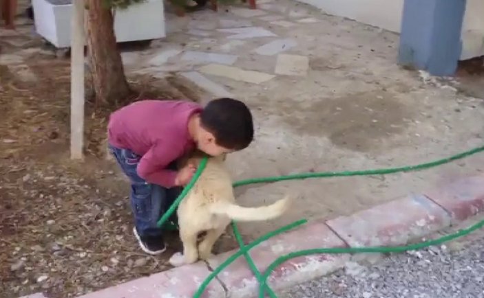 Sivas'ta kendisini kızdıran köpeği ısırdı
