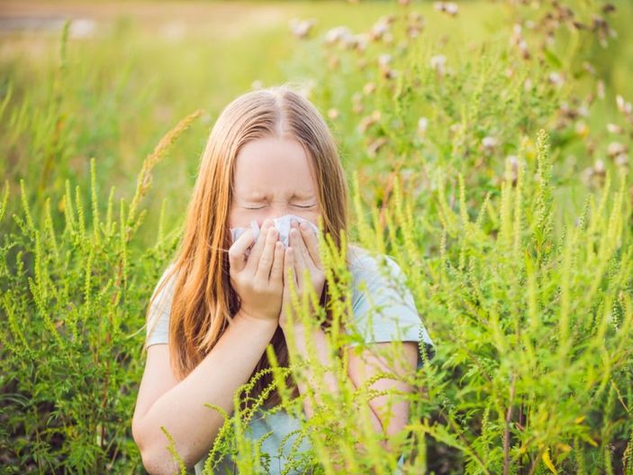 Saman nezlesi nedir, belirtileri nelerdir? Saman nezlesi ne kadar sürer?
