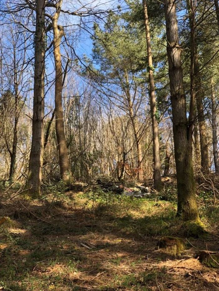 İngiltere Kraliyet Hava Kuvvetleri’ne ait uçak düştü