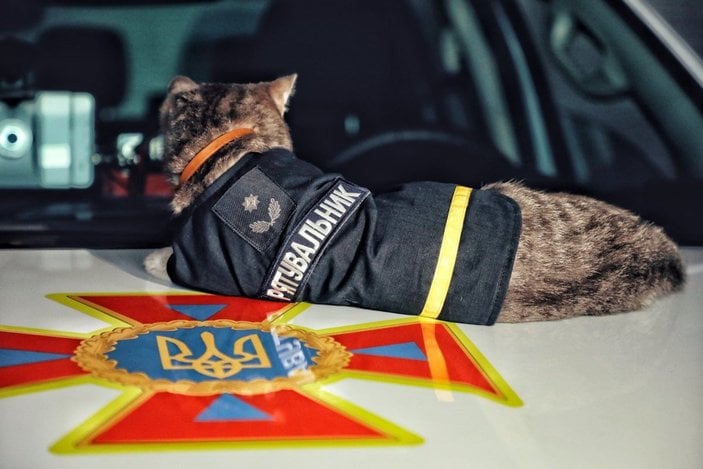 Ukrayna’da donmaktan kurtarılan kedi, itfaiye ekibine katıldı