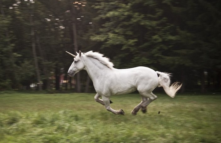 Unicorn nedir? Unicorn şirket ne demek, hangi şirketlere unicorn denir?