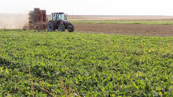 Türkiye tarımsal hasılası 2020'de cumhuriyet rekoru kırdı
