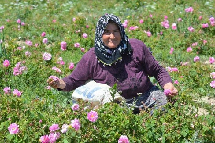 Gülsuyuna doğal ürün logosu geldi