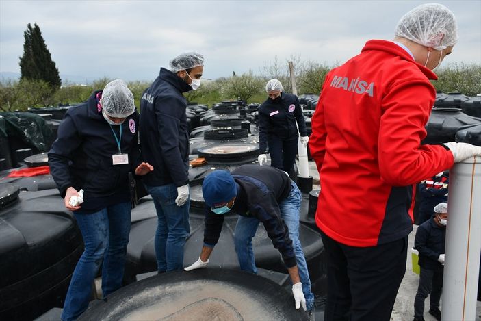 Manisa'daki turşu fabrikası faaliyetten men edildi