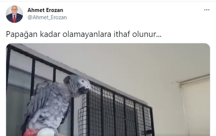 İyi Partili Ahmet Erozan'dan 'Andımız'ı okuyan papağan' paylaşımı