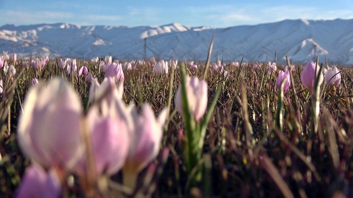 i Yüksekova'da iki mevsim bir arada