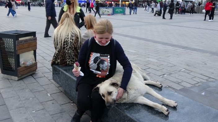 Taksim'de köpeğin turistlerle dondurma keyfi