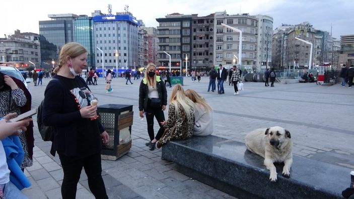 Taksim'de köpeğin turistlerle dondurma keyfi