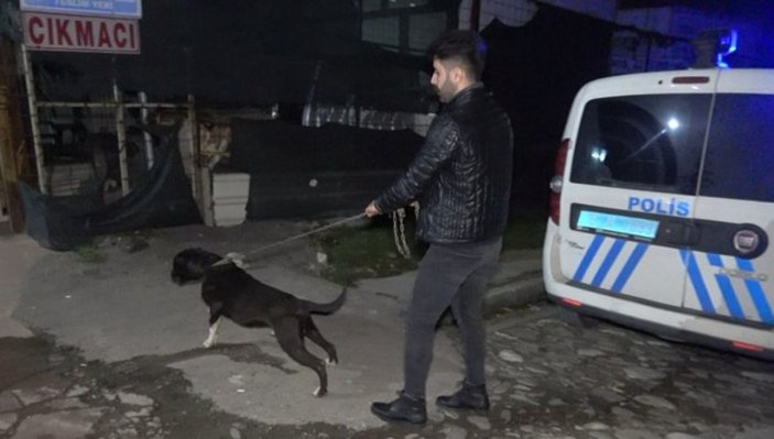 Bursa’da pitbullun yakaladığı, esnafın dövdüğü taciz şüphelisi tutuklandı