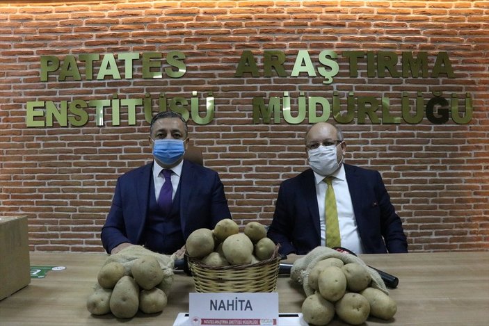 Yerli patates Nahita'nın Avrupa yolculuğu