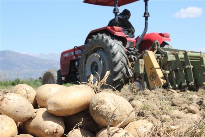 Cumhurbaşkanı Erdoğan'ın müjdesi, soğan ve patates üreticilerini sevindirdi
