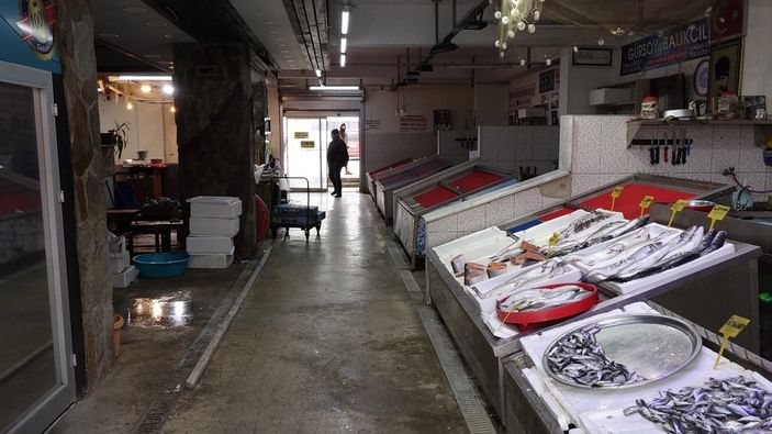 Kültür balıkları tezgahlarda