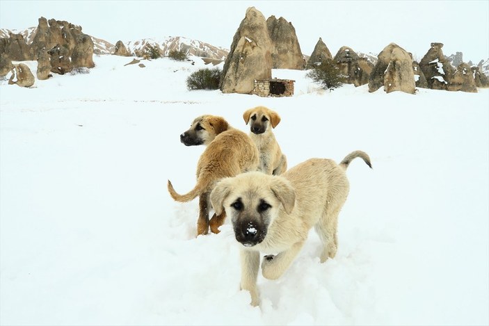 Kapadokya'ya yağan kar güzel görüntüler oluşturdu