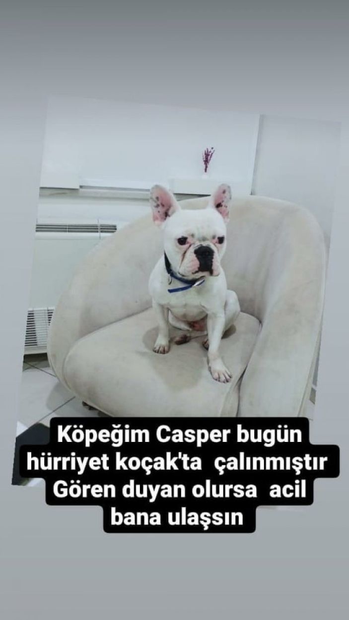 i Kayseri'de sevdikleri köpeği çalıp, kaçtılar