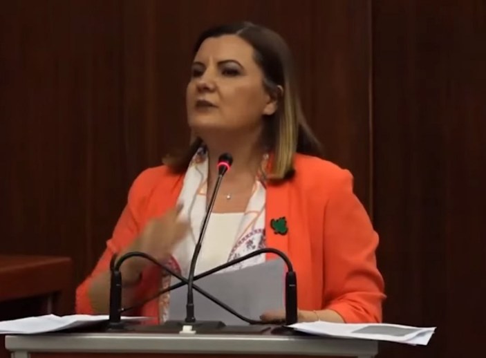 CHP'li Fatma Kaplan İzmit'e yaptırdığı heykelleri savundu