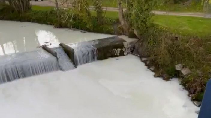 Galler’de süt akan nehri gören şaşkına döndü