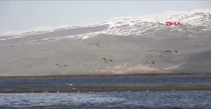 Erzurum’da kuşlar için binlerce ekmeği suya bıraktılar