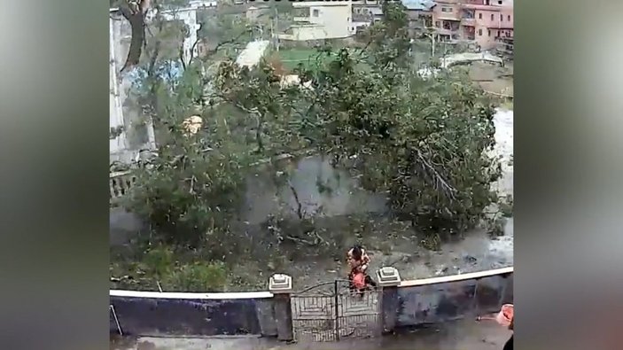 Çin'de büyükanne ve torunu yıkılan ağaçtan şans eseri kurtuldu