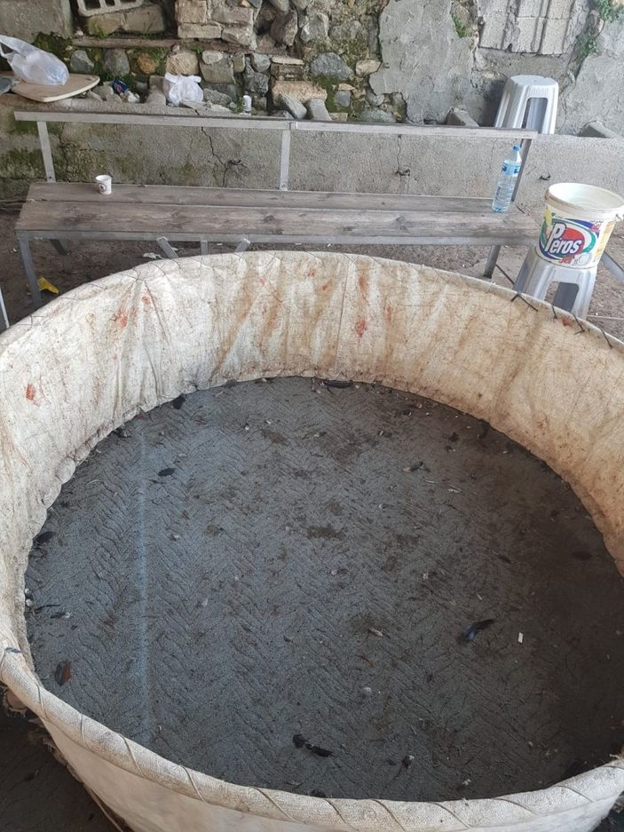 Hatay'da horoz dövüştüren 6 kişi suçüstü yakalandı