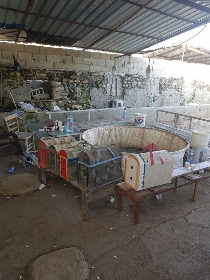 Hatay'da horoz dövüştüren 6 kişi suçüstü yakalandı