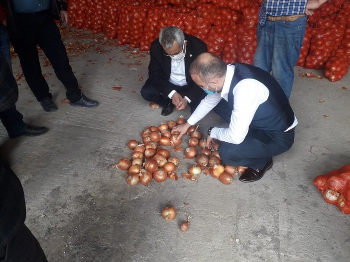 Amasya'da soğan alımına başlandı