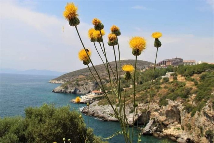 Tülüşah Kuşadası'nın yeni sembolü oldu