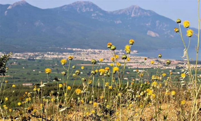 Tülüşah Kuşadası'nın yeni sembolü oldu