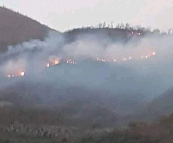 İzmir’de orman yangını