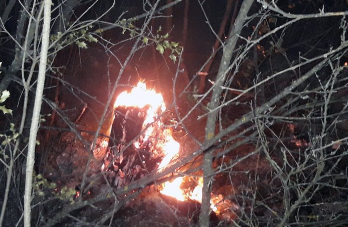Muğla'da 29 hektarın zarar gördüğü orman yangınında sabotaj şüphesi