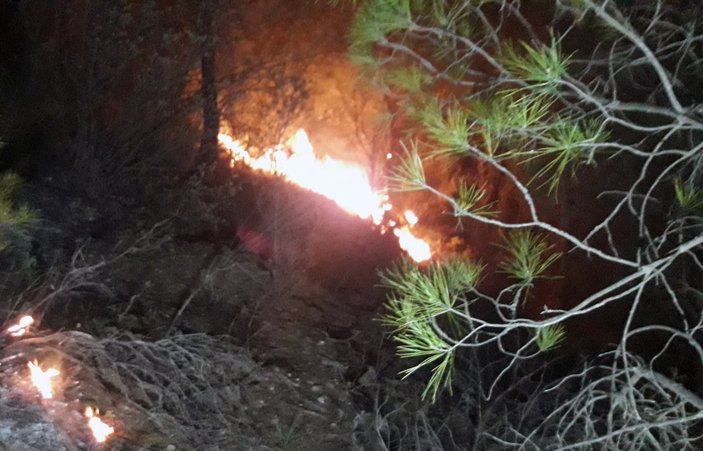 Muğla'da 29 hektarın zarar gördüğü orman yangınında sabotaj şüphesi