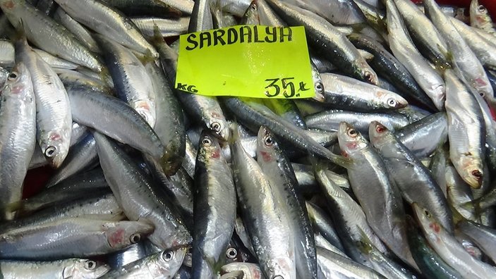 Birçok ilde balık bitti, Çanakkale'de tezgahlar doldu