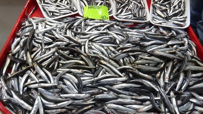 Birçok ilde balık bitti, Çanakkale'de tezgahlar doldu