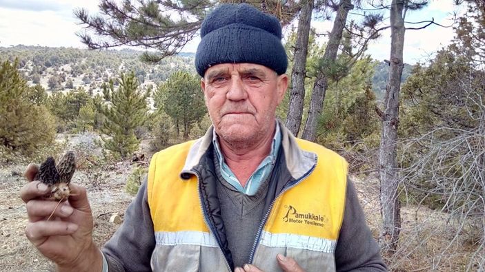 Kuzugöbeğini kuraklık vurdu