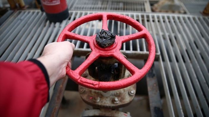 LNG ticareti büyüyor