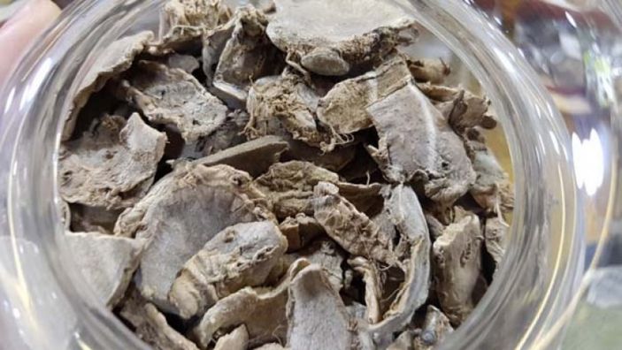 Zulumba nedir, ne işe yarar? Zulumba kökü nasıl kullanılır?