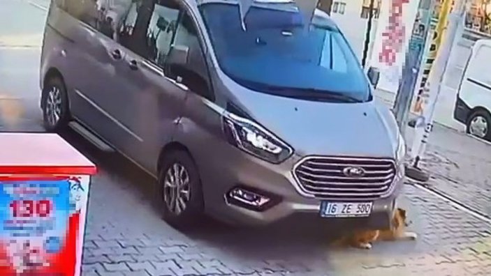 Bursa'da köpeği ezip, kaçan sürücü