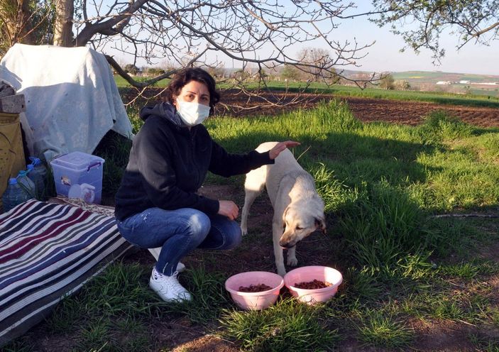 Tekirdağ'da baktığı sokak köpekleri vuruldu
