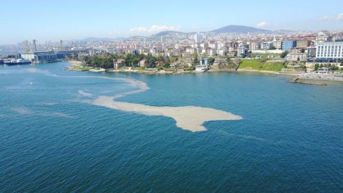 d İstanbul Tuzla'da sahil deniz salyasıyla kaplandı