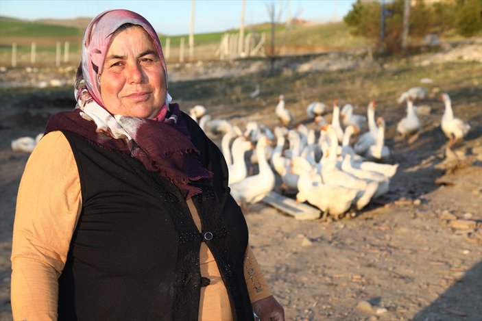 Ankaralı ev hanımı, hobi için aldığı civcivlerle kaz çiftliği kurdu