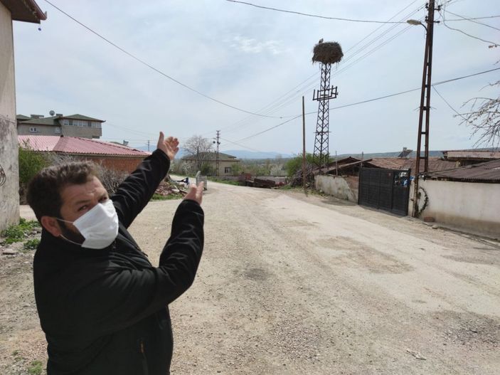 i Amasya'da mahalleliye leylekler rehberlik ediyor