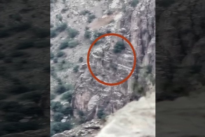 Avaşin-Basyan'da mağaraya gizlenen 3 terörist öldürüldü
