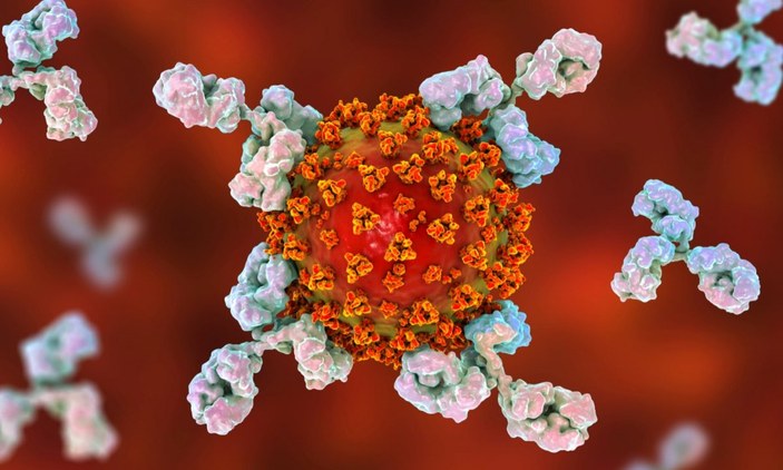 Koronavirüsü ortadan kaldıracak nanoparçacıklar tasarlandı