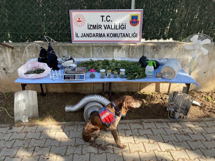 İzmir’de uyuşturucu operasyonu: 11 gözaltı