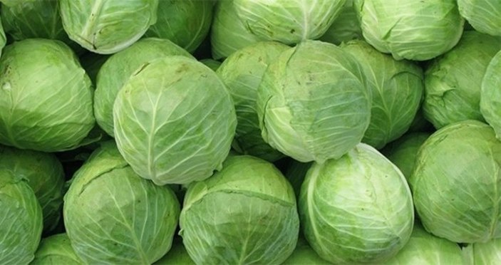 Diyetinize ekleyebileceğiniz yüksek proteinli 10 sebze